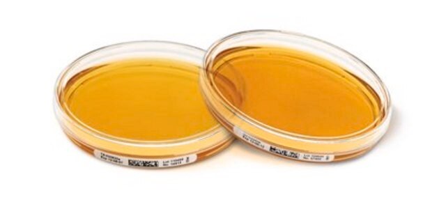 Tryptic Soy Agar - Ready-to-use Settle Plates Tween&#174;, Lecithin, ICR plate, sterile; irradiated, plate diam. × volume 90&#160;mm × 30&#160;mL, suitable for air monitoring