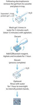 EZBlue&#8482; Gel Staining Reagent