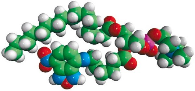 16:0-06:0 NBD PC Avanti Polar Lipids 810130P, powder