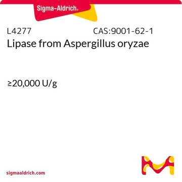 Lipase from Aspergillus oryzae &#8805;20,000&#160;U/g