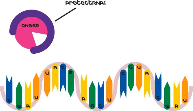 ProtectRNA&#8482; RNase Inhibitor 500× Concentrate RNase inhibitor for in situ hybridization assays