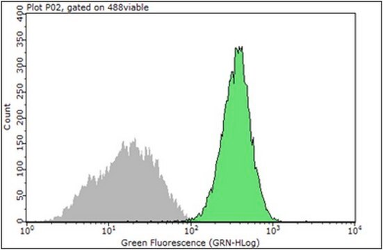 Anti-Integrin &#946;1 Antibody, clone 12G10 clone 12G10, from mouse