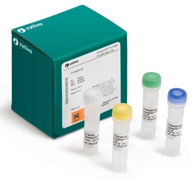 Genomiphi&#8482; V2 DNA Amplification Kit Cytiva 25-6600-31, sufficient for 100&#160;reactions