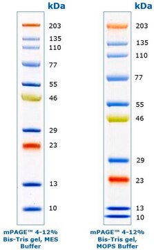 mPAGE&#174; Color Proteinstandard