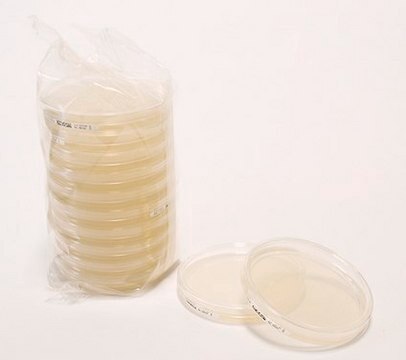 HEIMPLATE R2A Agar chromogenic - LI ready-to-use, 90 mm settle plates, suitable for microbiology