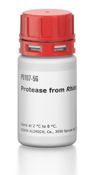 Protease aus Rhizopus sp.