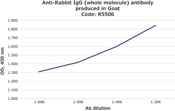 Anti-Kaninchen-IgG (Gesamtmolekül) IgG fraction of antiserum, buffered aqueous solution