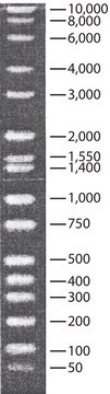 DirectLoad&#8482; Wide Range DNA Marker ready-to-use marker for DNA electrophoresis