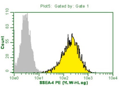 Milli-Mark Anti-SSEA-4-PE Antibody, clone MC-813-70 clone MC-813-70, Milli-Mark&#174;, from mouse