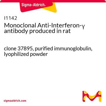 Monoclonal Anti-Interferon-&#947; antibody produced in rat clone 37895, purified immunoglobulin, lyophilized powder