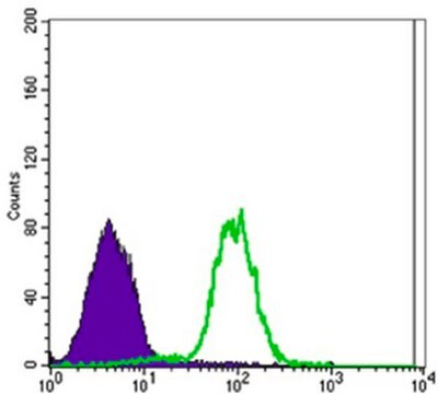 Anti-CA9 Antibody, clone 2D3 ascites fluid, clone 2D3, from mouse