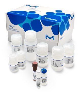 SMC&#174; Human IL-17A High Sensitivity Kit 1&#160;kit sufficient for 96&#160;wells, input: plasma, serum