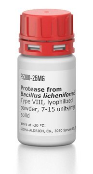 Protease aus Bacillus licheniformis Type VIII, lyophilized powder, 7-15&#160;units/mg solid