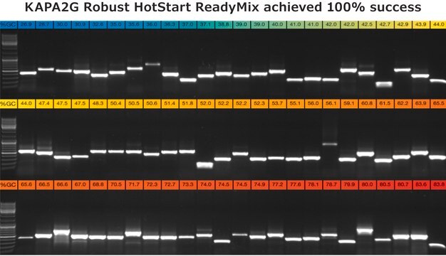 KAPA2G Robust HotStart PCR-Kit with dNTPs