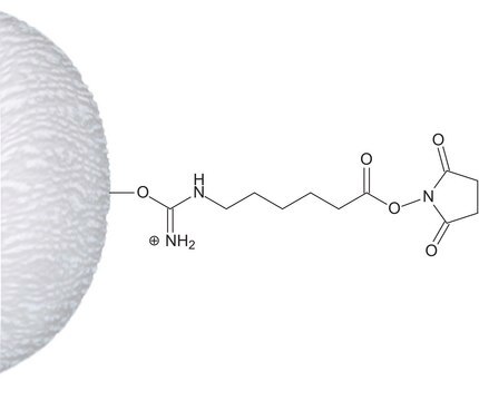 N-Hydroxysuccinimidyl-Sepharose&#8482; 4 Fast Flow matrix fast-flow highly cross-linked 4% beaded agarose