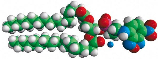 18:0 NBD PE (NBD-DSPE) Avanti Polar Lipids