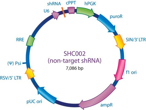 MISSION&#174; pLKO.1-puro Non-Mammalian shRNA Control Plasmid DNA Targets no known mammalian genes