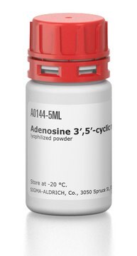 Adenosin-3&#8242;,5&#8242;-zyklisches Monophosphat-Agarose lyophilized powder