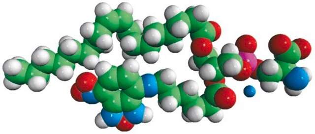 18:1-06:0 NBD PS Avanti Polar Lipids 810194C