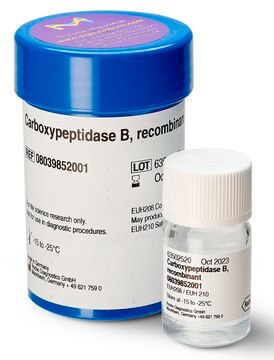 Carboxypeptidase B, recombinant solution, ~150&#160;units/mg protein (at +25°C with hippuryl-L-arginine as the substrate), optimum pH 7.0-9.0