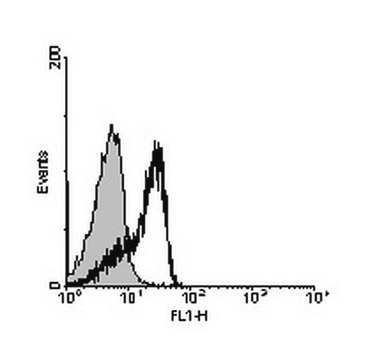 Anti-Integrin beta-3 (CD61) Antibody, clone HMb3-1 clone HMb3-1, from hamster(Armenian)