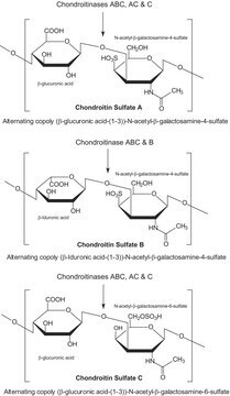 Chondroitinase&#160;AC aus Flavobacterium heparinum lyophilized powder, 0.5-1.5&#160;units/mg protein (using chondroitin sulfate A as substrate)