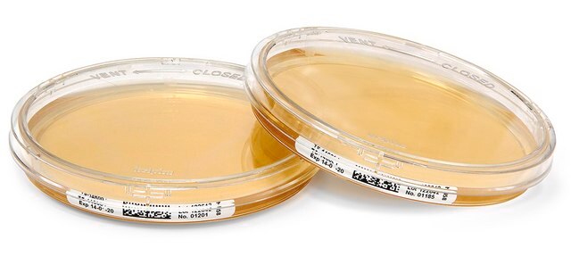 Tryptic Soy Agar - Ready-to-use Settle Plates ICR with non-lockable lid, plate volume × diam. 30&#160;mL × 90&#160;mm, sterile; &#947;-irradiated, pkg of 10&#160;plates Triple packed, suitable for air monitoring