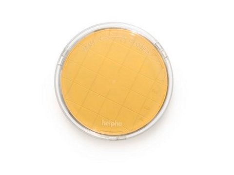 Trypton-Soja-Agar Sodium Thiosulfate, Lecithin, Penase, Histidine, Tween&#174;, ICR plus with lockable lid, plate diam. 55&#160;mm, sterile; &#947;-irradiated, pkg of 10&#160;plates Triple packed, suitable for surface monitoring