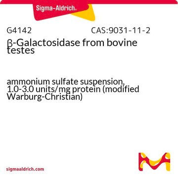 &#946;-Galactosidase from bovine testes ammonium sulfate suspension, 1.0-3.0&#160;units/mg protein (modified Warburg-Christian)