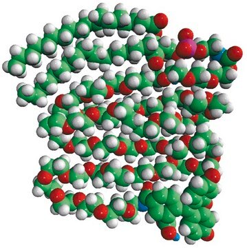 18:0 PEG2000 PE CF Avanti Polar Lipids 810120P, powder