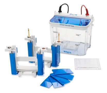 mPAGE&#174; Mini Gel Tank for electrophoresis of precast gels or hand cast polyacrylamide gels