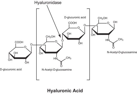 Hyaluronidase from bovine testes Type I-S, lyophilized powder, 400-1000&#160;units/mg solid