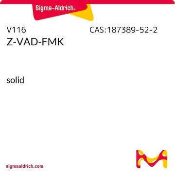 Z-VAD-FMK solid