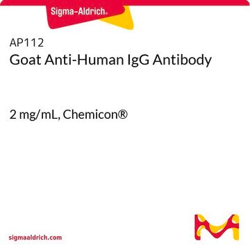 Anti-Human-IgG-Antikörper der Ziege 2&#160;mg/mL, Chemicon&#174;