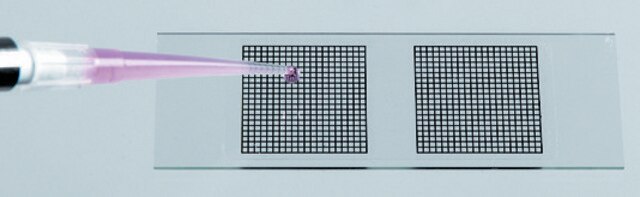 Microscope slide-grids, disposable use with dry or suspended specimens