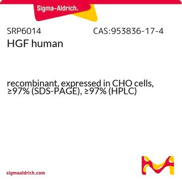 HGF human recombinant, expressed in CHO cells, &#8805;97% (SDS-PAGE), &#8805;97% (HPLC)