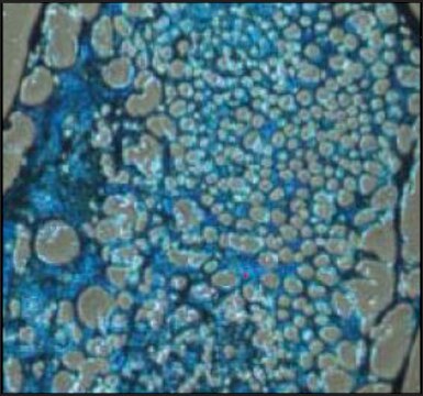 ChondroMAX Differentiation Medium