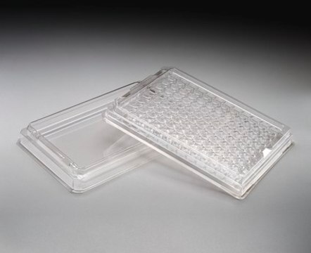 96-Well-Sammelplatte Clear, Non-Sterile, HTS, for UV analysis, Polypropylene, 40 plates