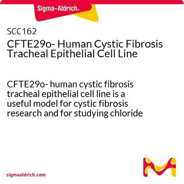 CFTE29o- Human Cystic Fibrosis Tracheal Epithelial Cell Line CFTE29o- human cystic fibrosis tracheal epithelial cell line is a useful model for cystic fibrosis research and for studying chloride ion transport and ion transport in human airways.