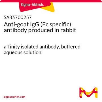 Anti-goat IgG (Fc specific) antibody produced in rabbit affinity isolated antibody, buffered aqueous solution