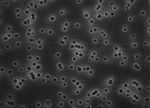 Polycarbonat-Membranfilter, Porengröße 0,8&nbsp;&#956;m Isopore&#8482;, filter diam. 13&#160;mm, hydrophilic