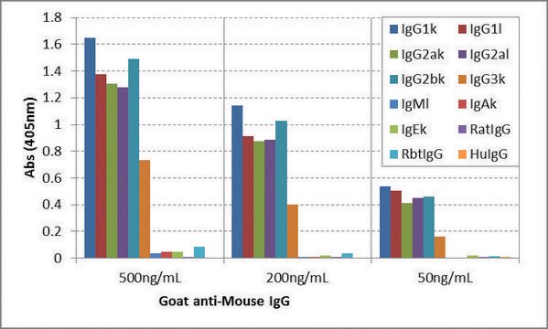 Anti-Mouse IgG-Biotin antibody, Goat monoclonal recombinant, expressed in HEK 293 cells, clone RMG07, purified immunoglobulin