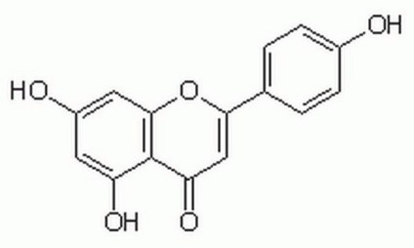 Apigenin Induces the reversion of transformed phenotypes of v-H-ras-transformed NIH 3T3 cells at low concentration (12.5 &#181;M).