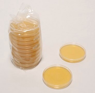 ReadyPlate&#8482; Chromocult&#174; Coliform-Agar To detect Escherichia coli and coliform bacteria, diam. 90&#160;mm, box of 20&#160;plates