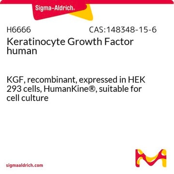 Keratinocyte Growth Factor human KGF, recombinant, expressed in HEK 293 cells, HumanKine&#174;, suitable for cell culture