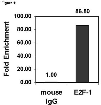 ChIPAb+ E2F-1 - ChIP Validated Antibody and Primer Set from mouse