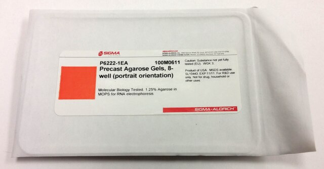 Precast Agarose Gels 8-well (portrait orientation)