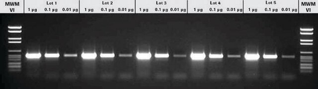 PCR Core Kit sufficient for &#8804;100&#160;reactions, kit of 1 (5 components), suitable for PCR