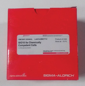 SIG10 5a Chemically Competent Cells for DNA plasmid production