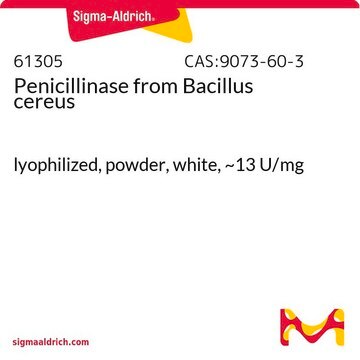 Penicillinase aus Bacillus cereus lyophilized, powder, white, ~13&#160;U/mg